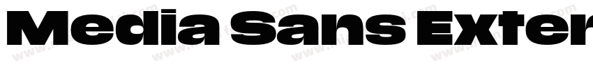 Media Sans Extended Bold字体转换
